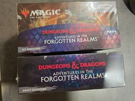2 Displays / MTG Dungeons & Dragons Forgotten realms