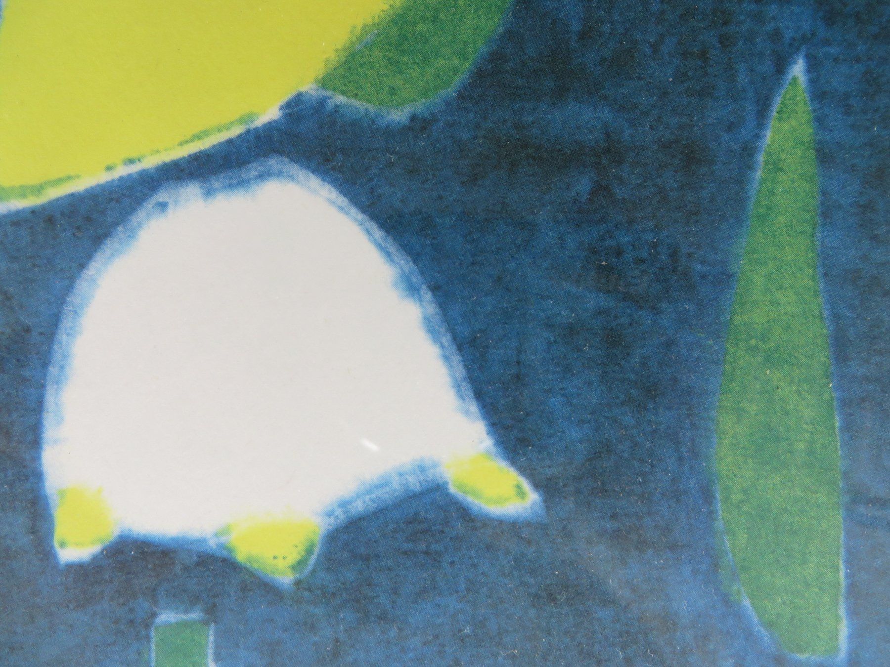 Grafica & Litografie: Ferdinand Gehr Litho  1896-1996 – Usato da Bad Ragaz venduto da FutureZ 1