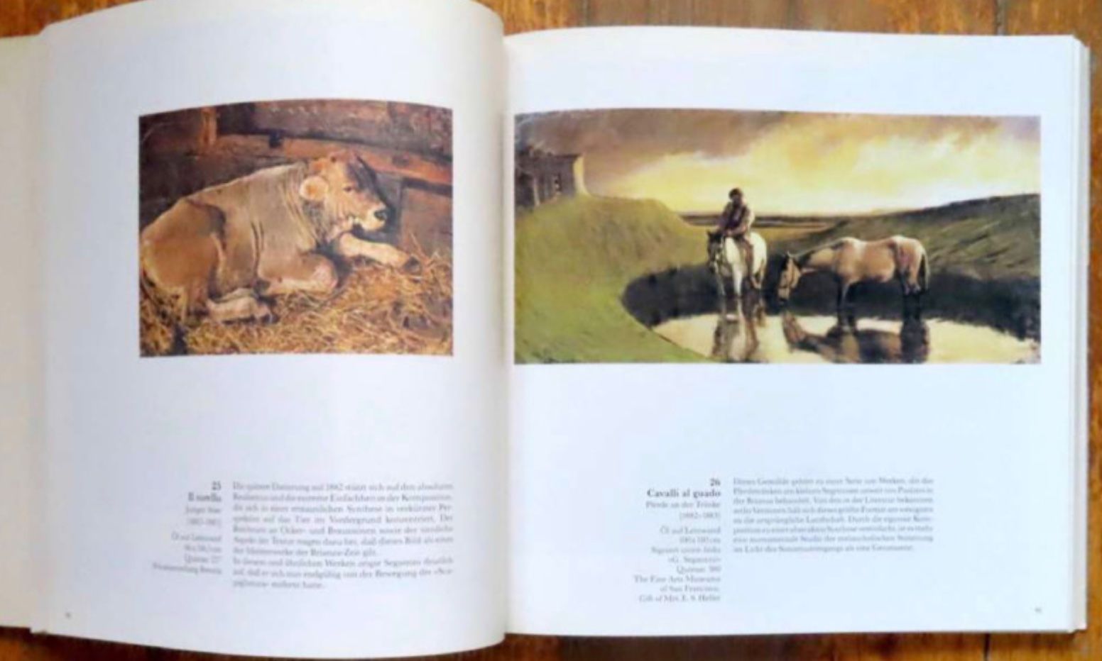 Libri: Giovanni Segantini 1858-1899 – Usato da Le Locle venduto da LibrairieLaBergerie 1