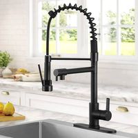 Robinet de cuisine noir mat avec douchette extractible