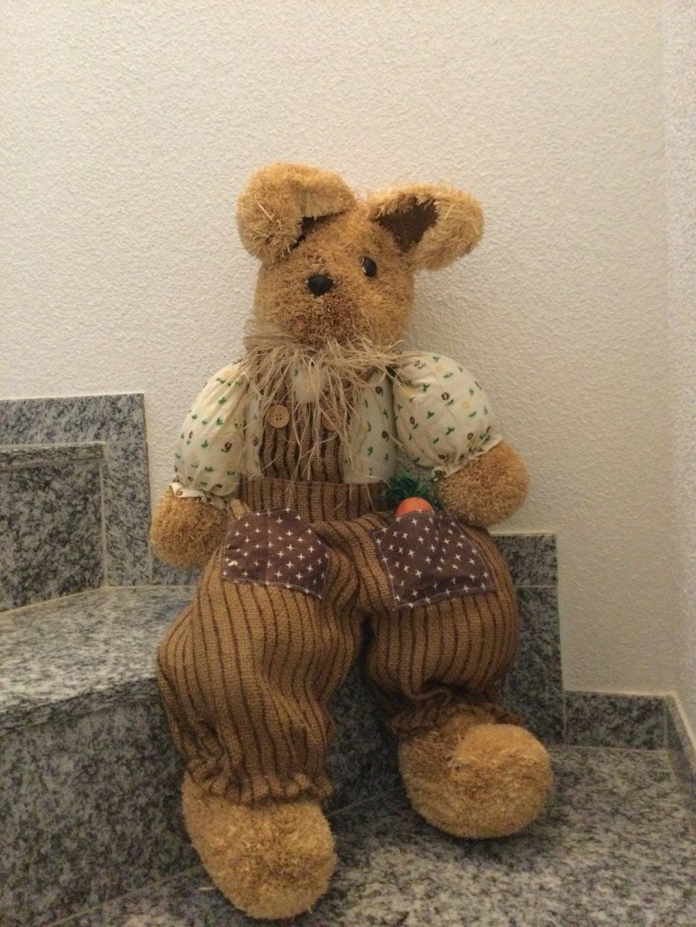 Tutte le decorazioni: Osterhase Dekoration – Usato da Wassen UR venduto da SABDOM