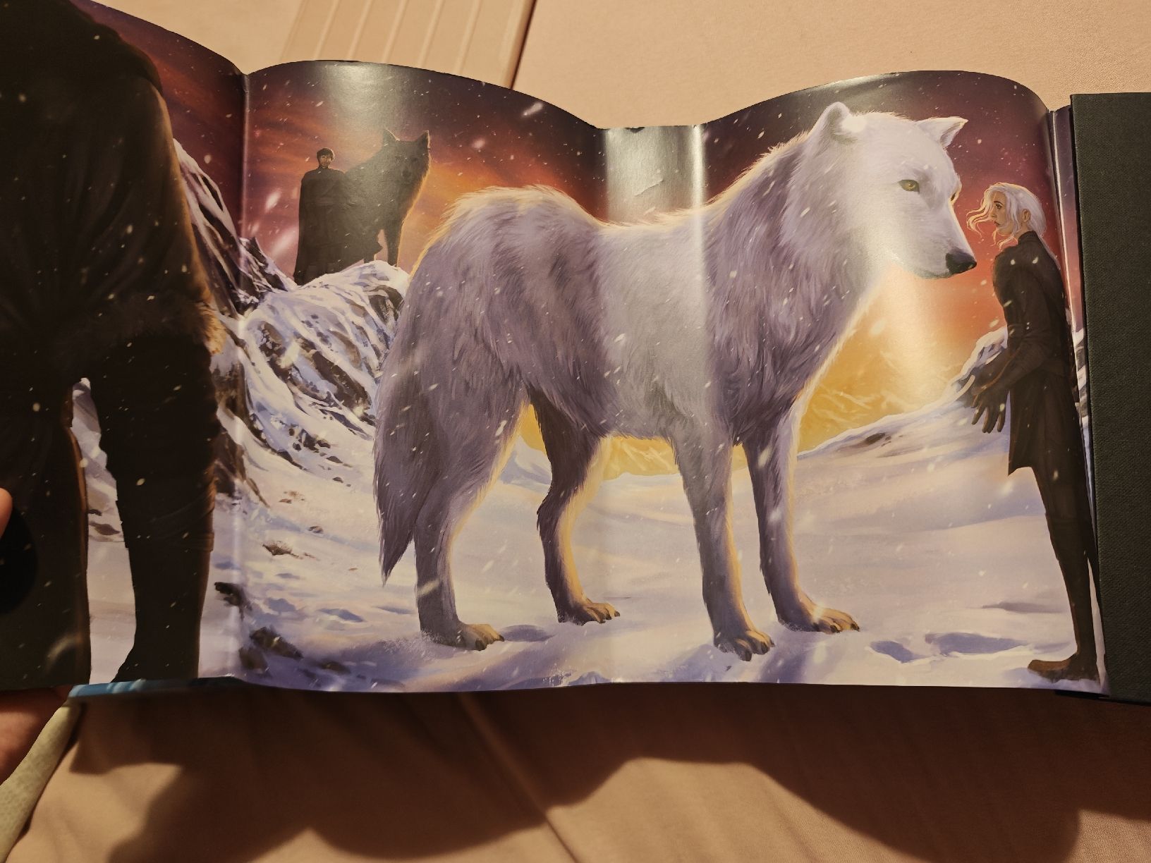 Bücher: Direbound International Special Edition – Neu (gemäss Beschreibung) aus Grandvaux von Freezemoon 7