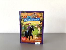 Pferdebuch Ponys Ponygeschichte Horsemanship Kinderbuch