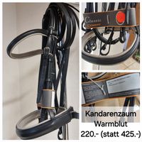 Kandarenzaum Döbert Warmblut,  neu