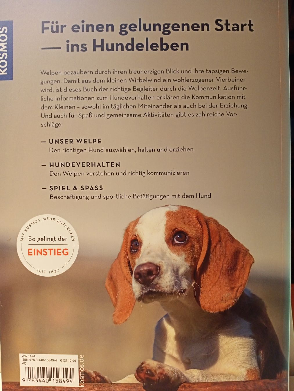 Bücher: Welpen – Neu (gemäss Beschreibung) aus Oftringen von Myti 1