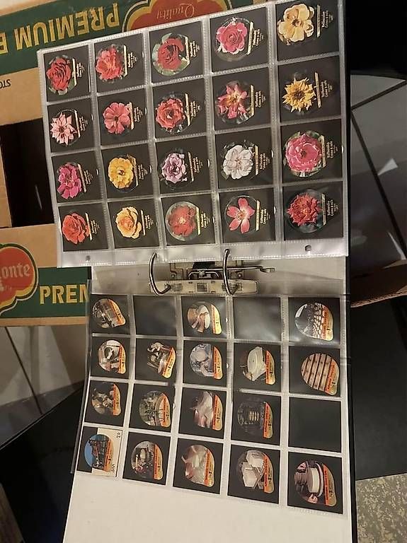 Coperchi dei cremini per caffè: Kaffeerahm Deckeli serien – Usato da Schöftland venduto da Stella 4