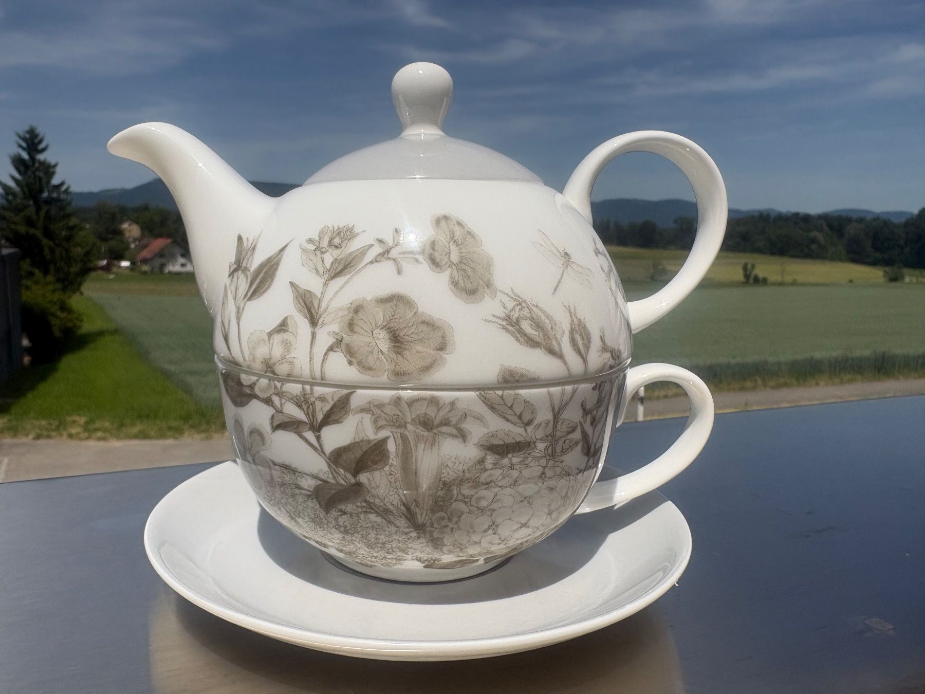 Teiere: Teekanne mit Tasse – Usato da Aarwangen venduto da kah_79t5