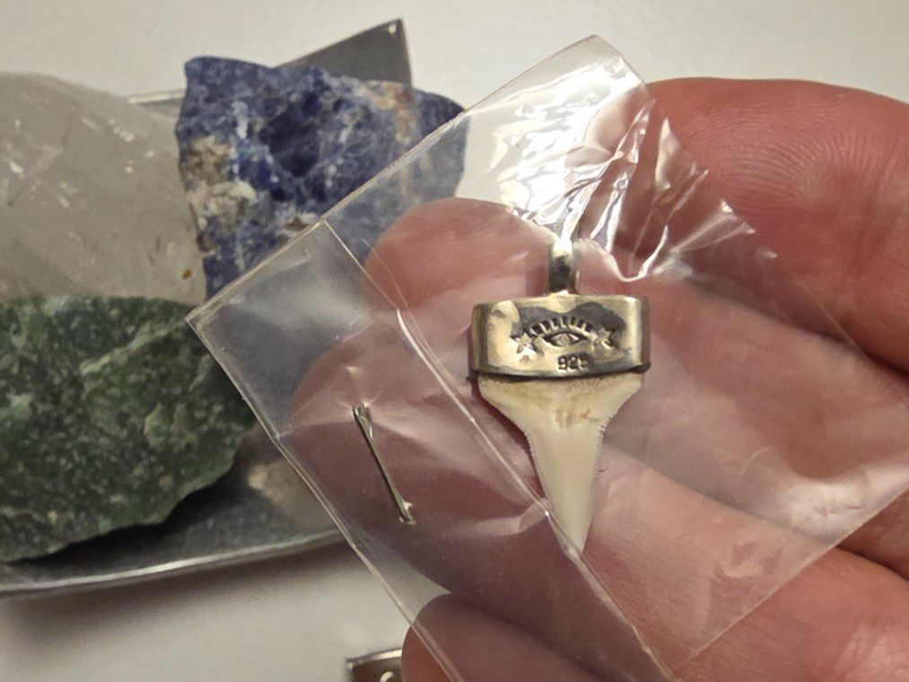 Ciondoli: Echter Haifischzahn in Silber gefasst – Nuovo e nell'imballaggio originale da Fislisbach venduto da Eye-Arts 6