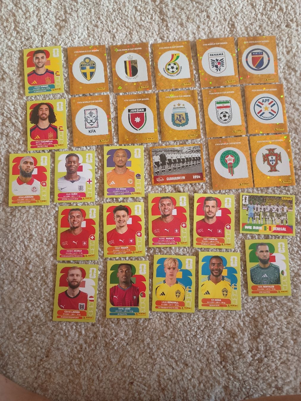 Sticker: Panini FIFA World Stickers – Nuovo (secondo la descrizione) da Gstaad venduto da ale_9xcn