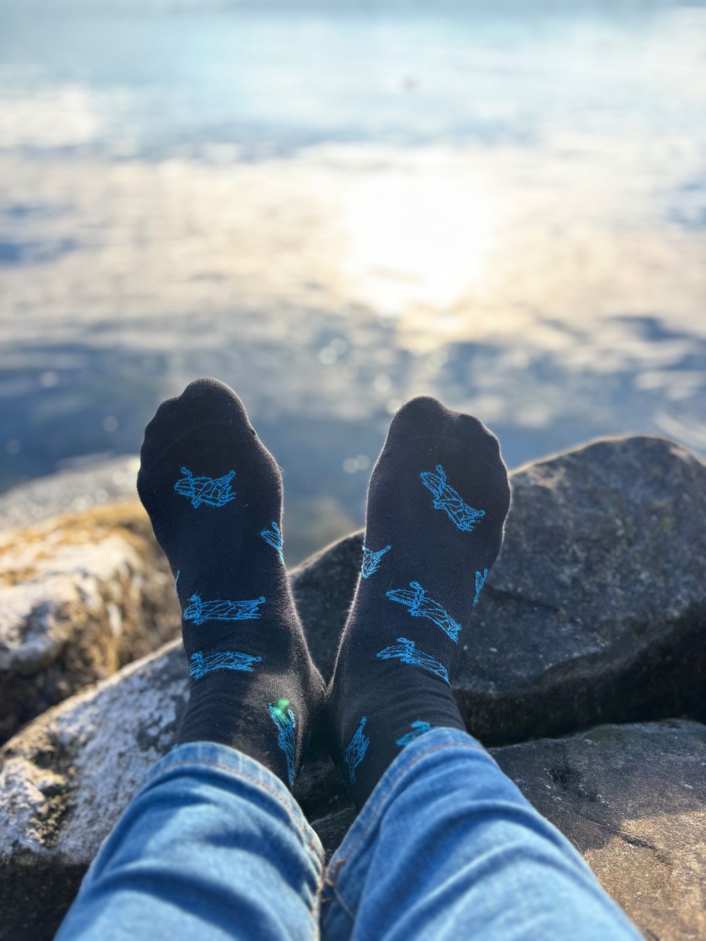 Calze: GCZ Grasshopper Socken 1 Paar – Nuovo e nell'imballaggio originale da Stäfa venduto da hokoatu 2