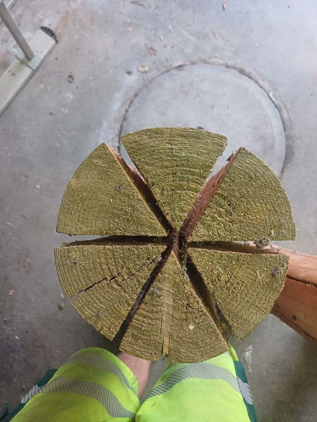 Articoli in legno: 3 Stück Finnenkerzen 1Meter hoch – Usato da Wangenried venduto da Recycler94 4