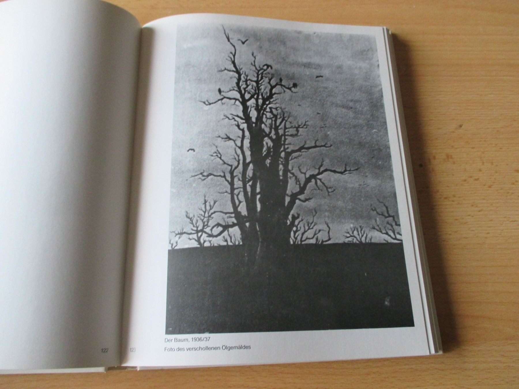 Libri: Der Maler Peter Weiss – Usato da Flims - Dorf venduto da Stagediver 5