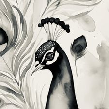 Profile image of pavovap