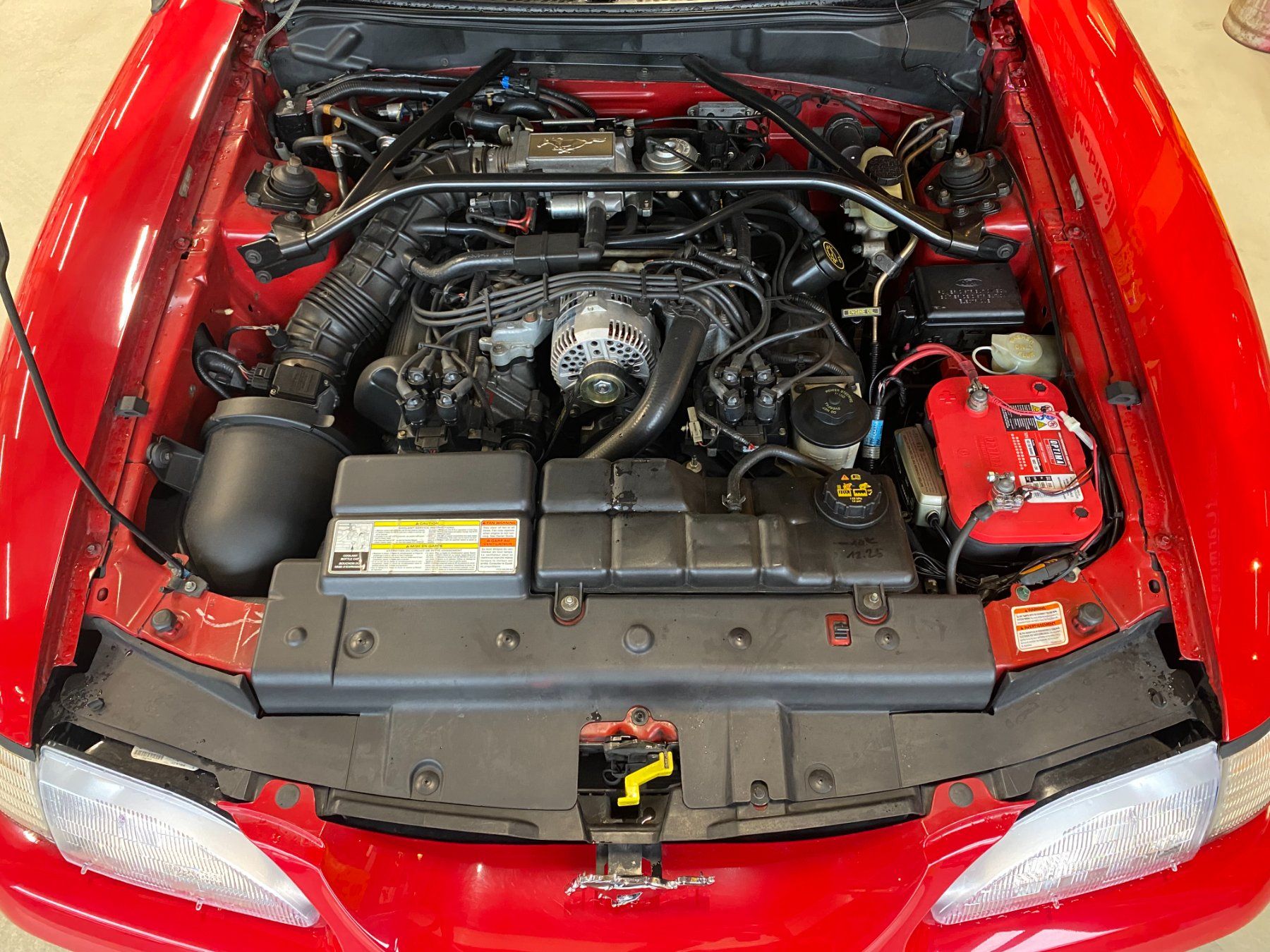 Ford (Usa) Automobili: Ford Mustang GT – Usato da Rafz venduto da CuCaRafz 7