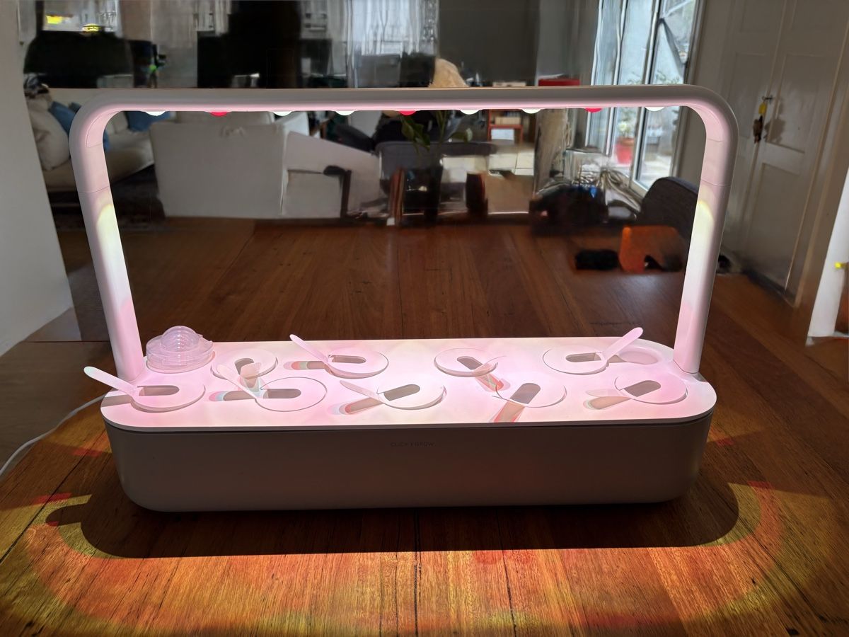 Altro: Click and Grow Smart Garden 9 – Usato da Zürich venduto da More_Magic_Hour