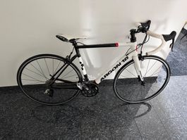 Rennvelo Argon 18 Carbon