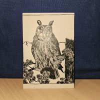 Federzeichnung Eule, Original, unsigniert, Top Zustand!🦉
