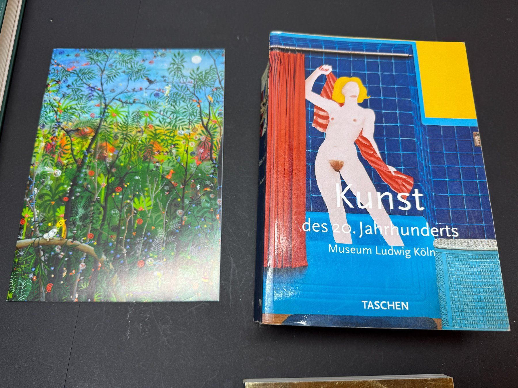 Bücher: Grosses Buchpaket Kunst und Künstler – Gebraucht aus Lützelflüh-Goldbach von Napfnugget01 4