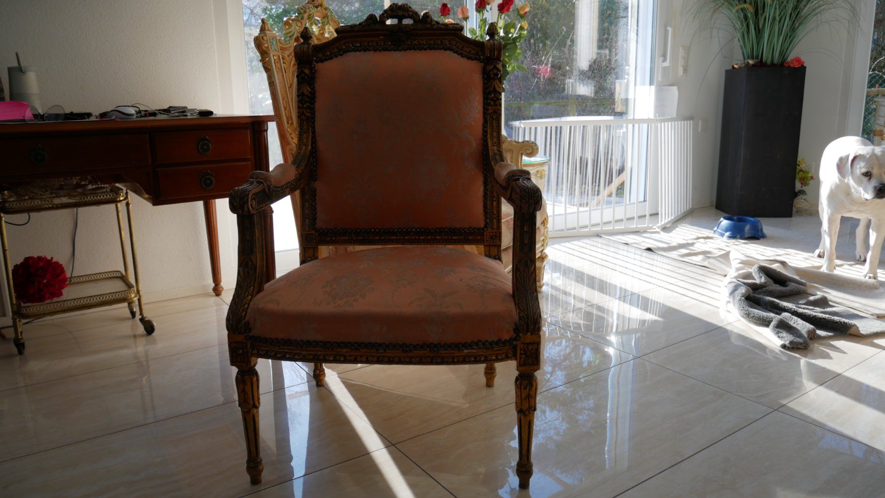 Sedie: ANTIK MÖBEL 2 STHUL UND SOFA GLEICHE MODEL – Usato da ZEININGEN venduto da NEW70 1