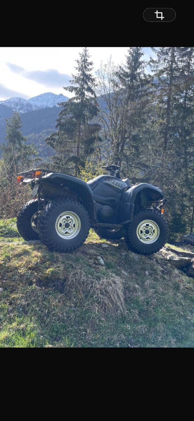 Yamaha ATV / Quad: Yamaha Quad Grizzly 660 – Usato da Zizers venduto da boomer76101 2