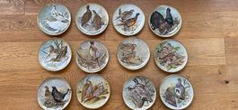 Assiettes porcelaine, Oiseaux du monde, Basil Ede, 1979