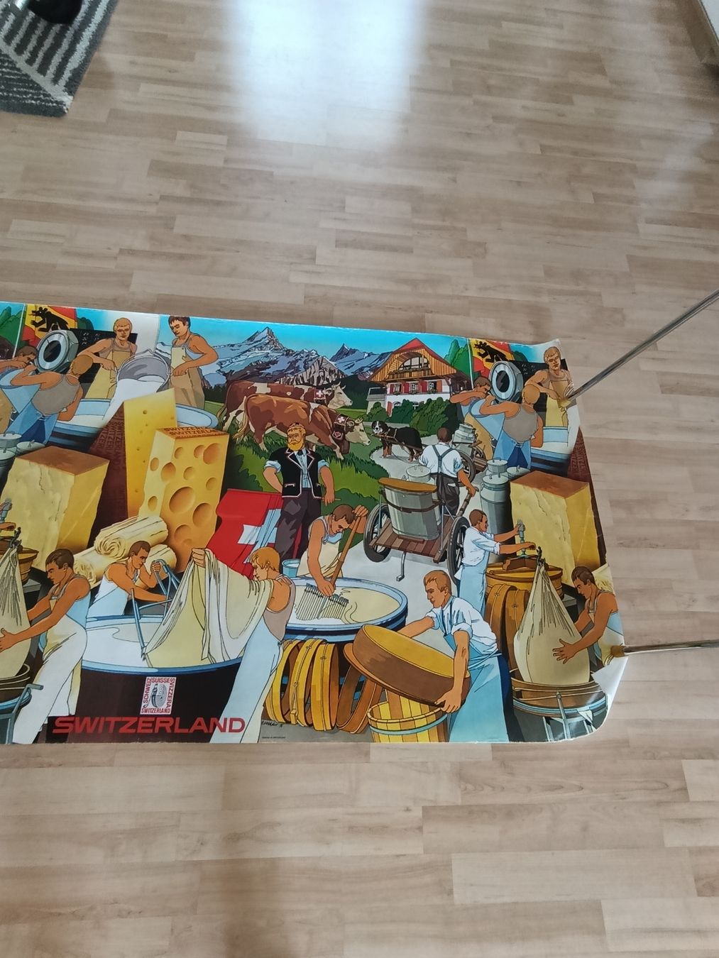 Foto & Immagini: 1975 Schweizer Käse Poster 3,5 Meter lang – Usato da Wil SG venduto da Donaldus 4