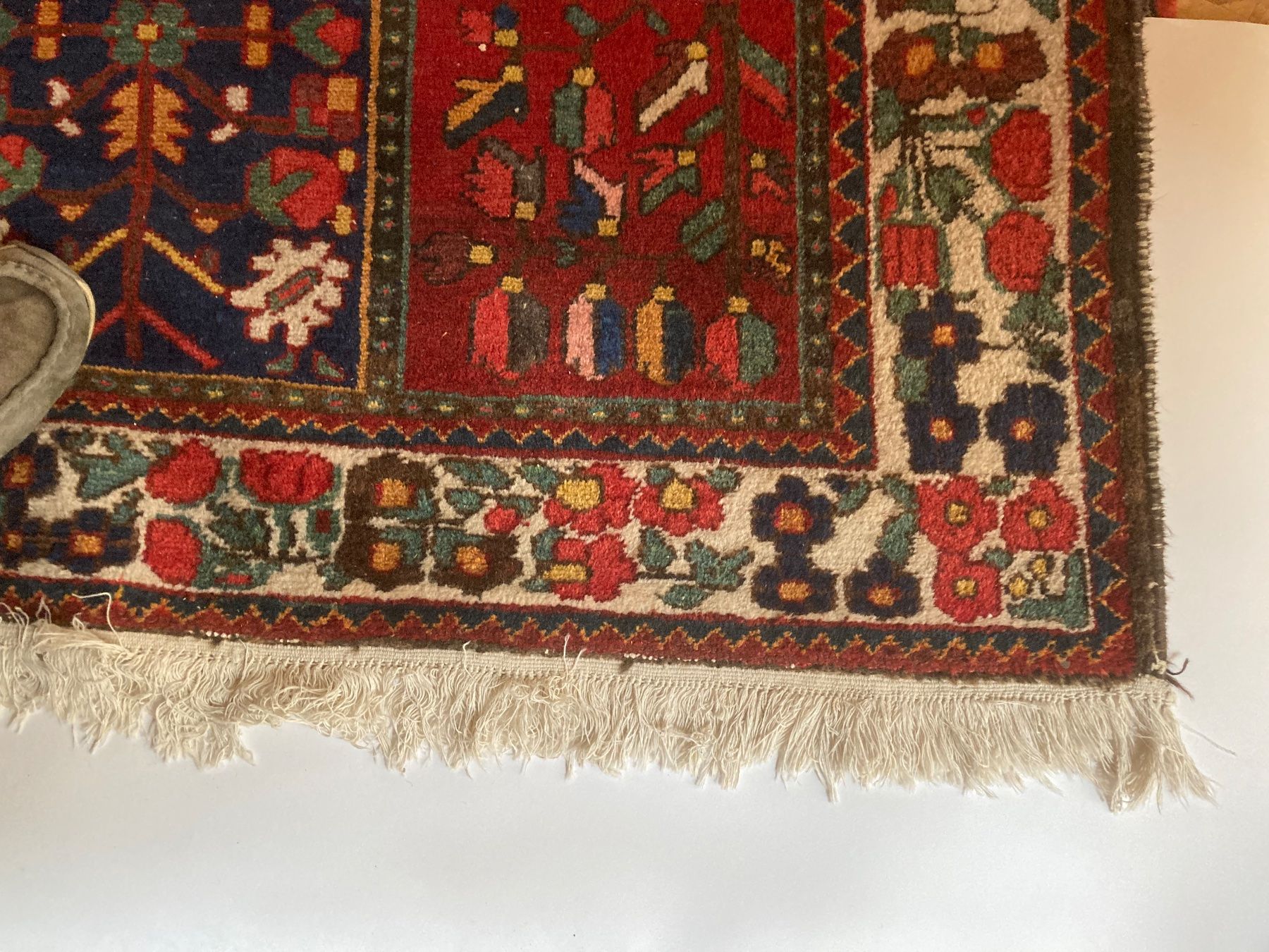 Tappeti: Orientteppich - Top – Usato da zürich venduto da papalapa 2