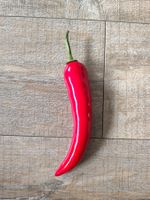 100 Stk Künstliche Chillischoten neu originalverpack