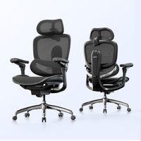 SIHOO Doro C300 V2 Ergo-Bürostuhl