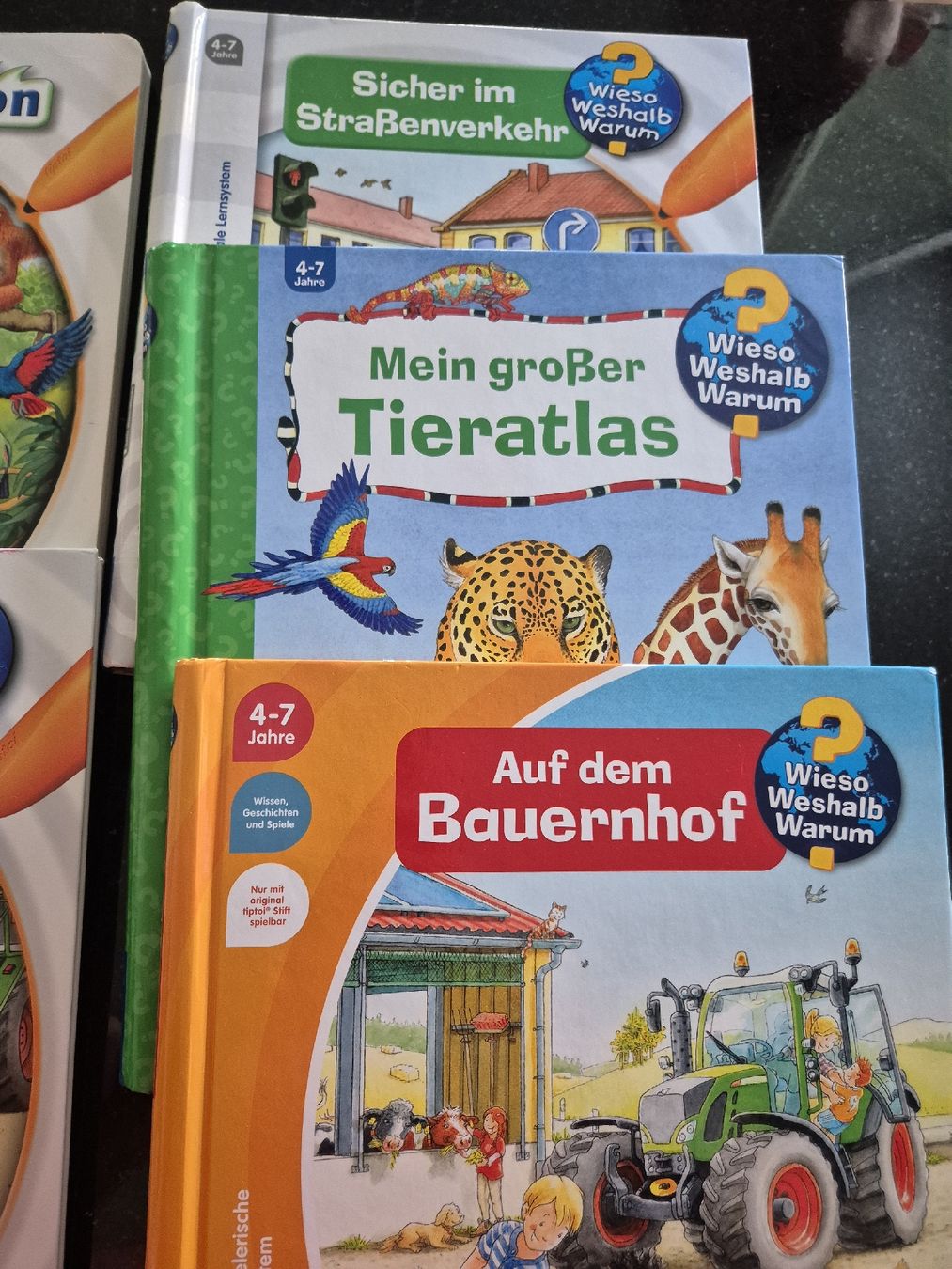 Libri: Tiptoi Stift und Bücher – Usato da Boppelsen venduto da Momofidelio 2