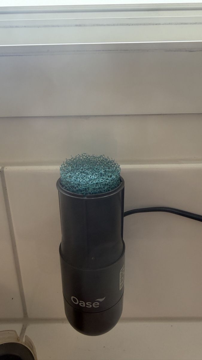 Oase Filter: Oase 600 – Gebraucht aus Allschwil von B.Bivona