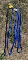 5 Hundeleinen Nylon schwarz und blau neu