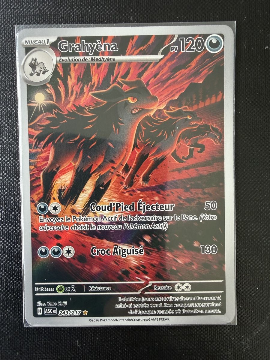 Pokémon Carte collezionabili: Grahyèna #243 ASC FR – Nuovo (secondo la descrizione) da Savigny venduto da Matgab94