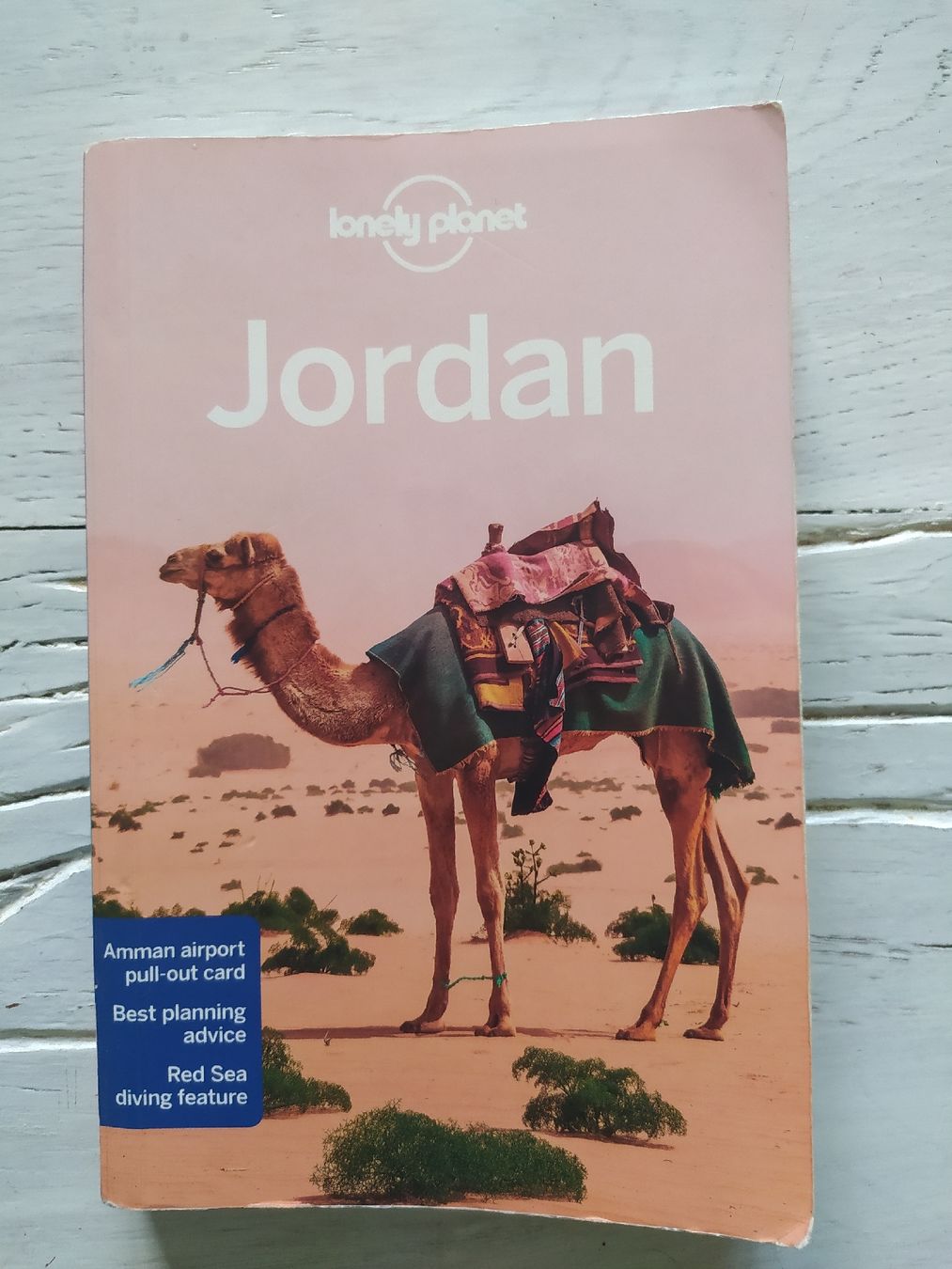 Libri: Lonely Planet Jordan – Usato da Luzern venduto da Nfan