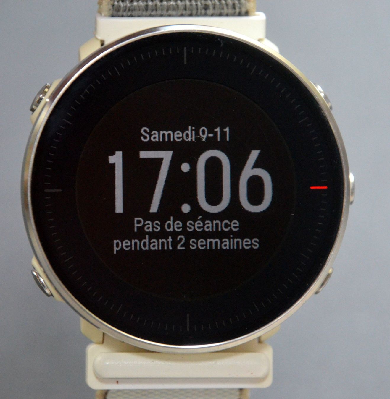 Polar Smartwatch: Smartwatch Polar Vantage M – Usato da Collonges venduto da arashee 2