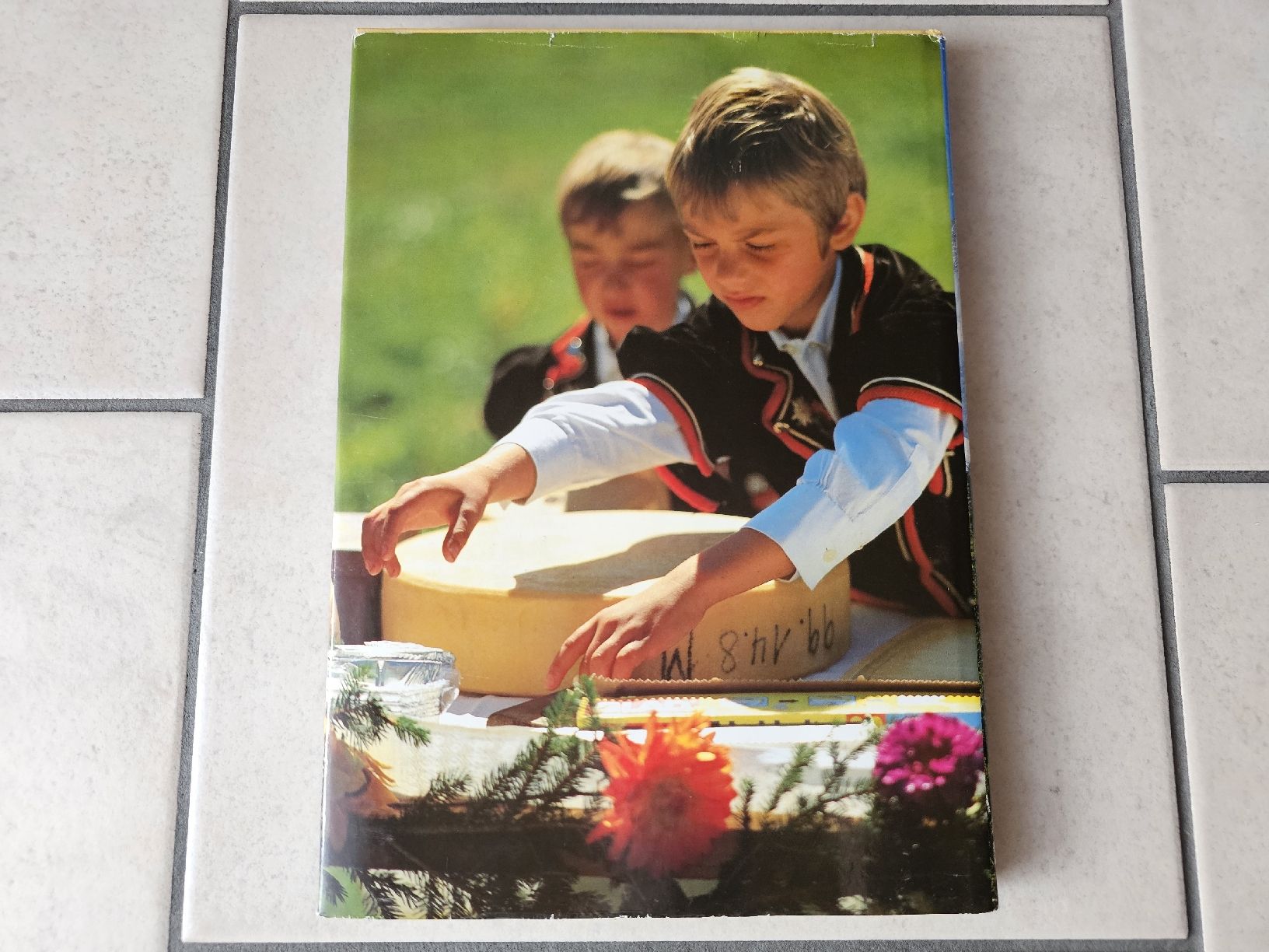 Libri: Berner Oberland  /  174 Seiten – Usato da Schneisingen venduto da backstore24 1
