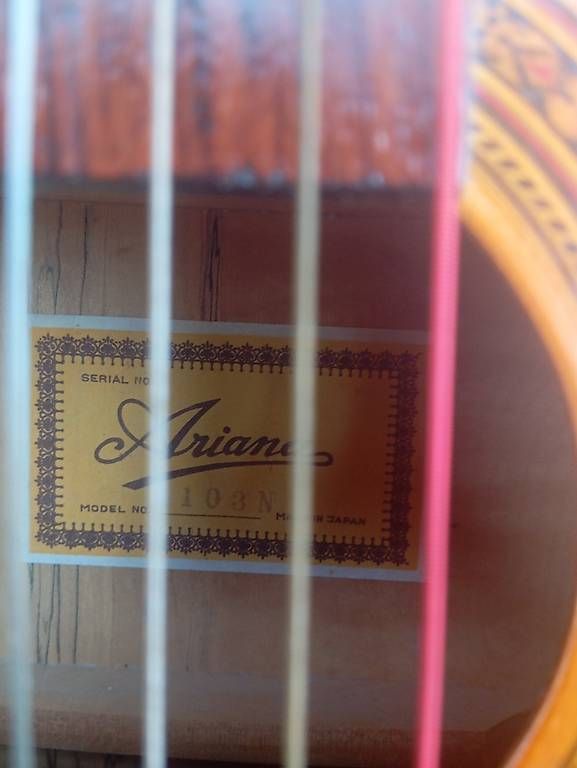 Strumenti musicali: Linkshänder Schüler Gitarre Ariana – Usato da Basel venduto da Petergunn 1