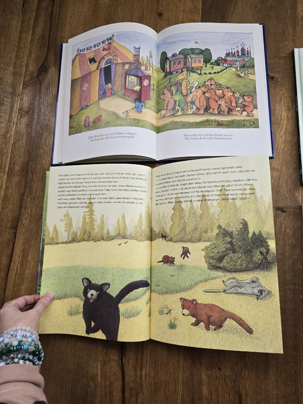 Livres: bücher set – D'occasion à Wittenbach par Tigerlili 5