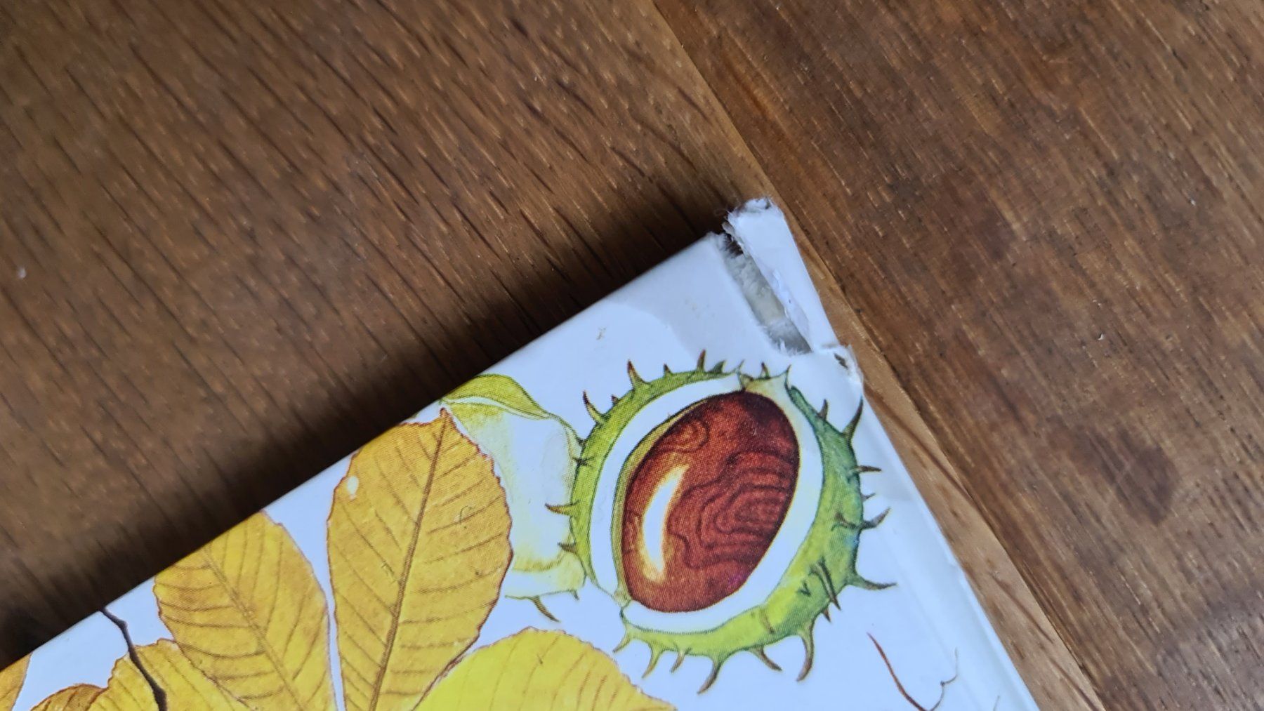 Libri: Die uhr bücher set – Usato da Wittenbach venduto da Tigerlili 1