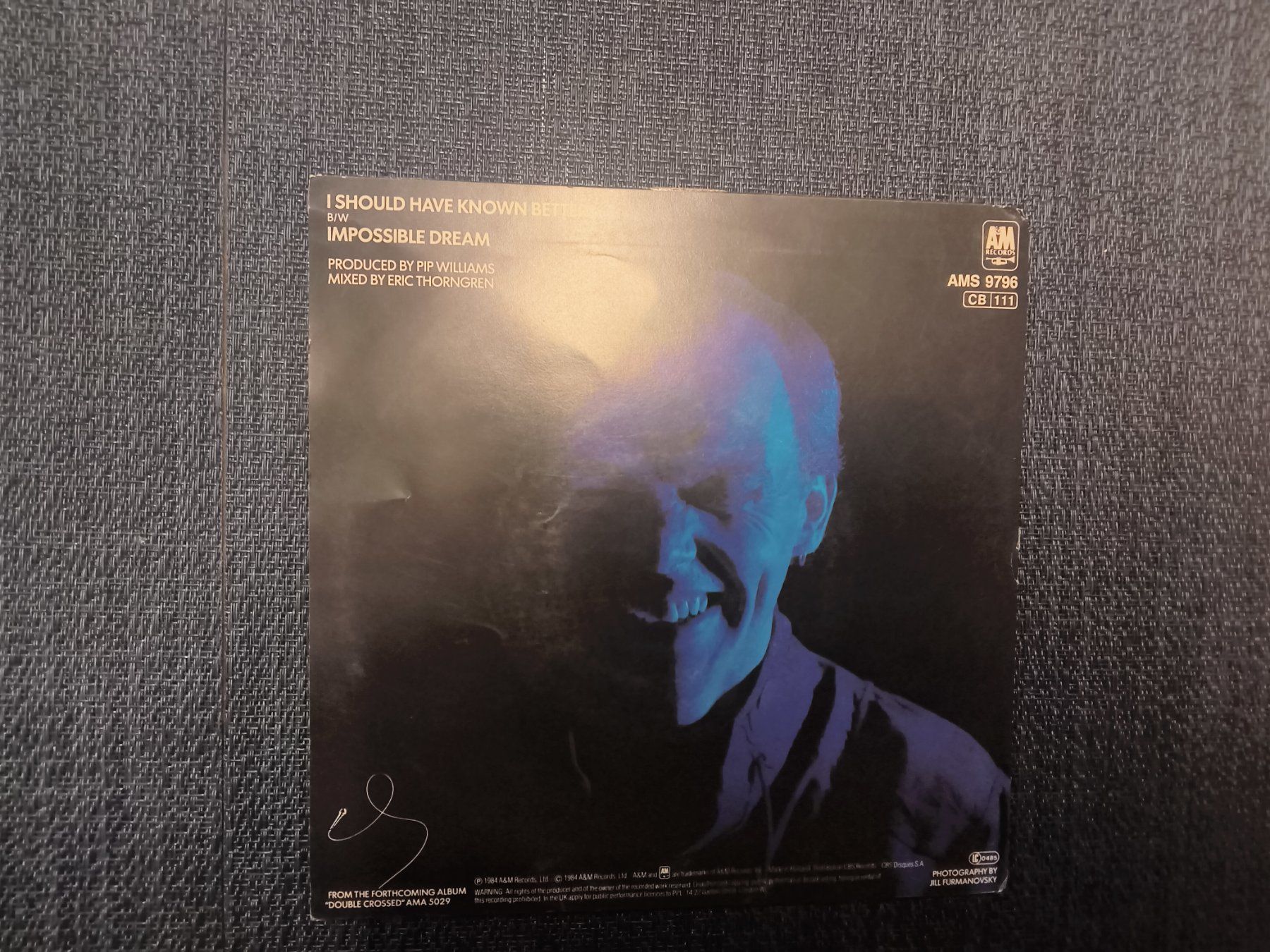 Dischi in vinile: VINYL Single: Jim Diamond - I should have known better – Usato da Allschwil venduto da marketingprojects