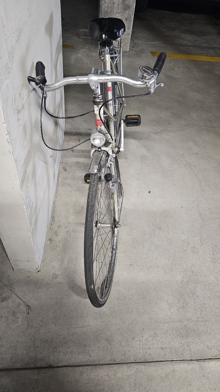 Vélos: Damenvelo Silber  – Défectueux à Scherz par gui_6q7l 3