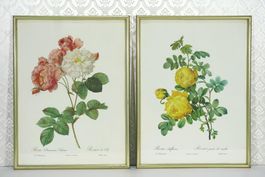 zwei schöne Vintage Rosenbilder gerahmt 41x31cm