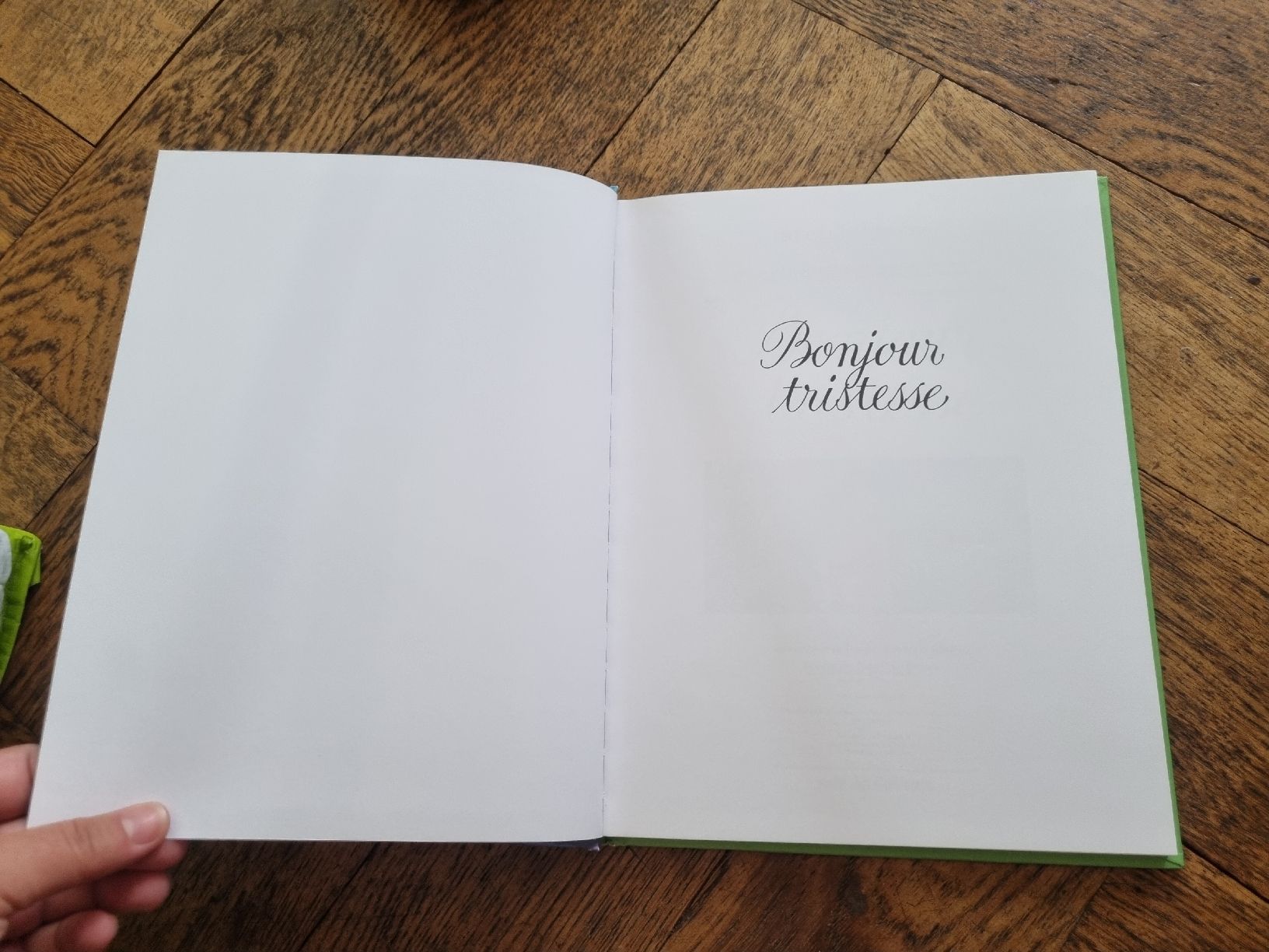 Comics: Bonjour Tristesse, Rebéna/Sagan, BD – Gebraucht aus Fribourg von sal_5ln6 3