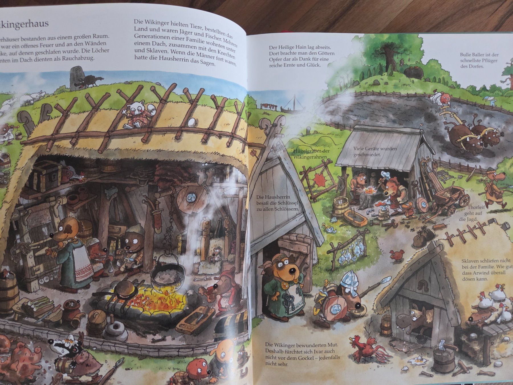 Libri: Hier kommen die Wikinger – Usato da Diegten venduto da ruz_82rp 1