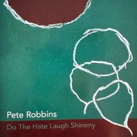 Pete Robbins, Craig Taborn, Ben Monder &other (CD FSNT) 2007