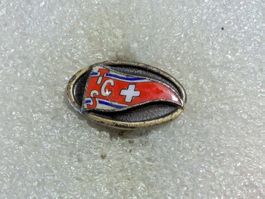 Ansteckpin 129: