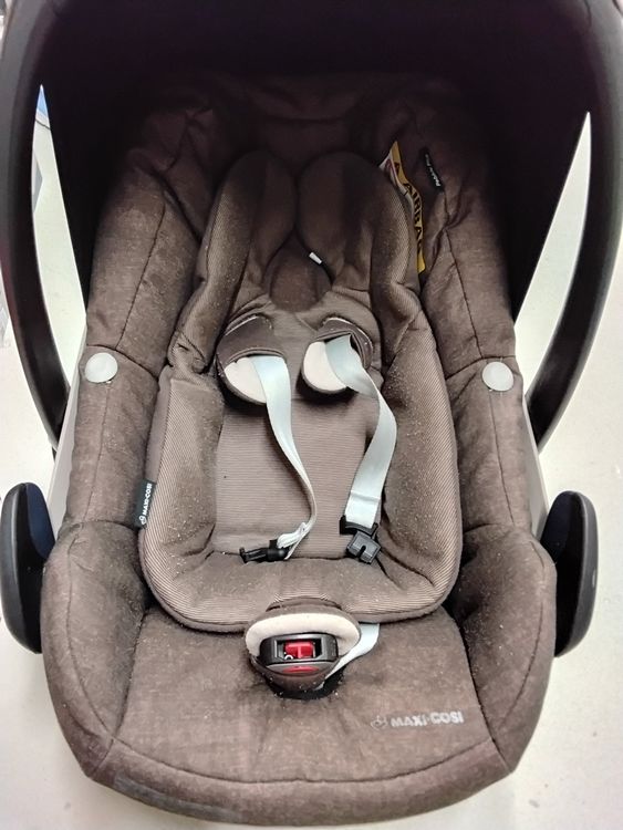 Maxi-Cosi Sièges auto: Maxi Cosi Pebble Plus Kindersitz, sehr gut erhalten – D'occasion à Nürensdorf par jil_lb9k 3