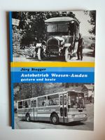 Autobetrieb Weesen-Amden gestern und heute, Jürg Biegger