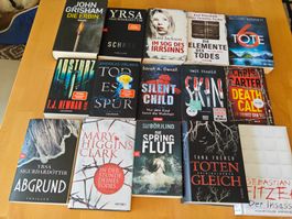 15 Krimis/Thriller
