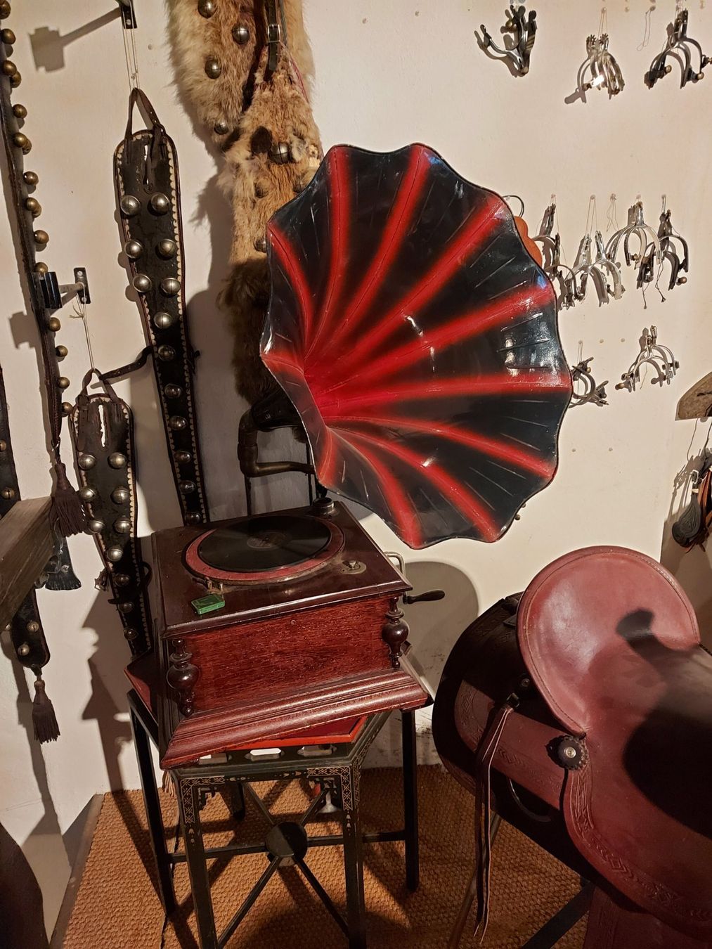 Giradischi: Antikes Grammophon – Usato da Berikon venduto da Lin